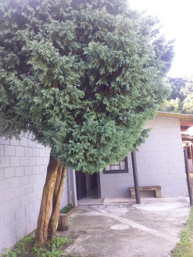 Kitnet Recanto De Campos-Pertinho Do Centro Villa Campos do Jordão Exterior photo